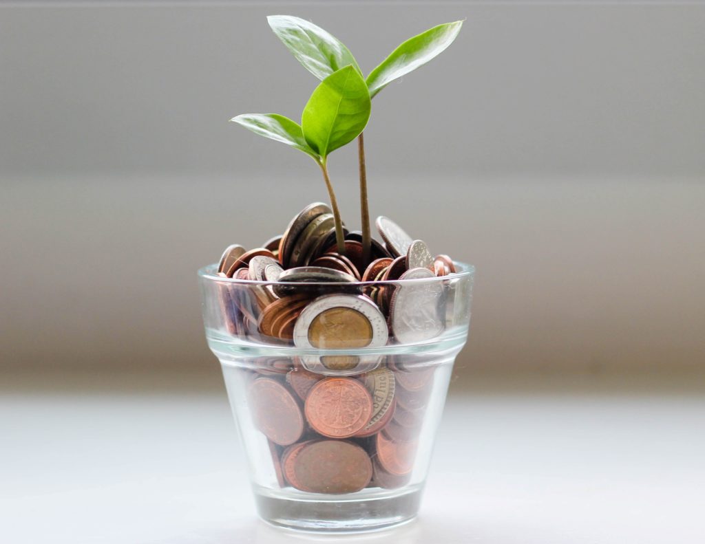 Money Tree
