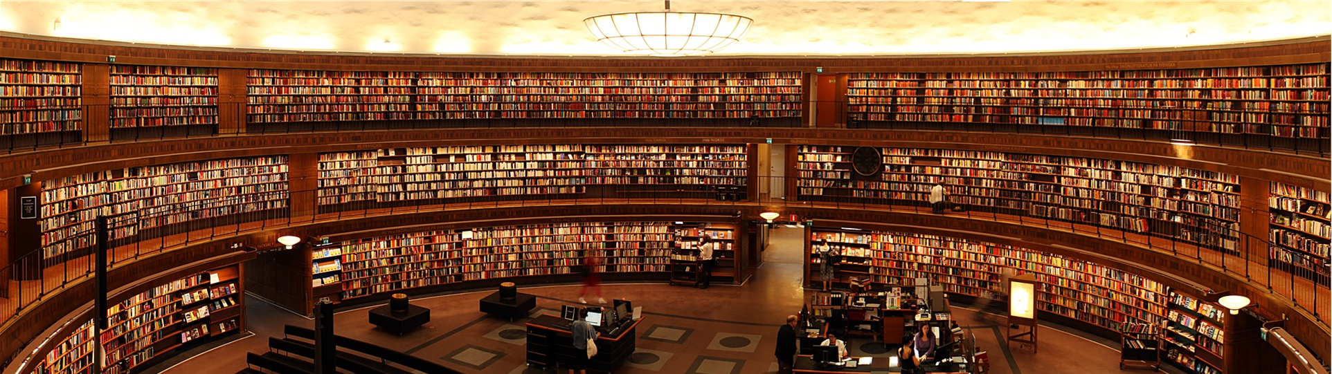 A wide angle picture of library book shelves.