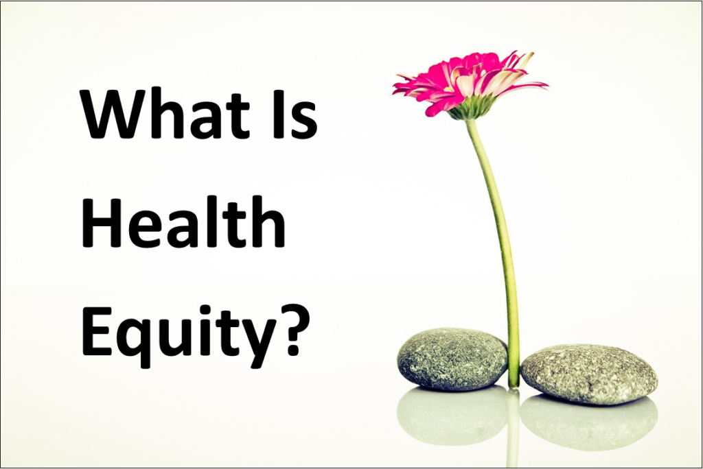 A flower balanced between 2 rocks with the title what is health equity.