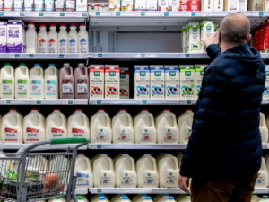 Store dairy shelf.