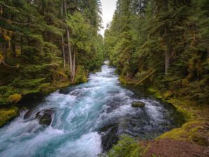 The McKenzie River in Oregon.