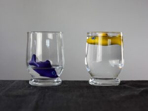 Distributive Justice demonstrated with two plastic fish in glasses of water. One fish has plenty of water, the other does not.