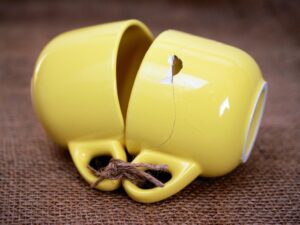 Two cups tied together. One cup is in excellent shape while the other is broken and glued.