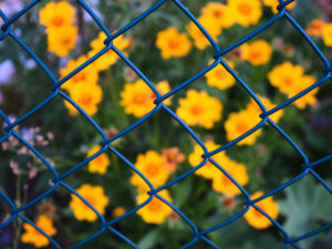 Chain link fence representing barriers to healthcare.