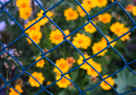 Chain link fence representing barriers to healthcare.